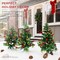 Best Choice Products Set of 2 24.5in Outdoor Pathway Christmas Trees Decor w/ LED Lights